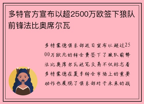 多特官方宣布以超2500万欧签下狼队前锋法比奥席尔瓦